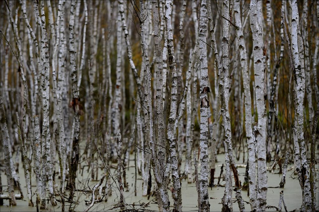 aacomp hasenmoor 20131019 0234