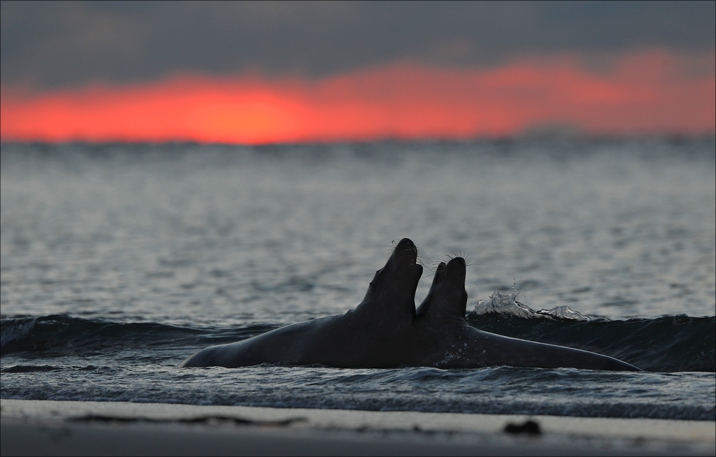 aacomp Helgoland 20130112 1869