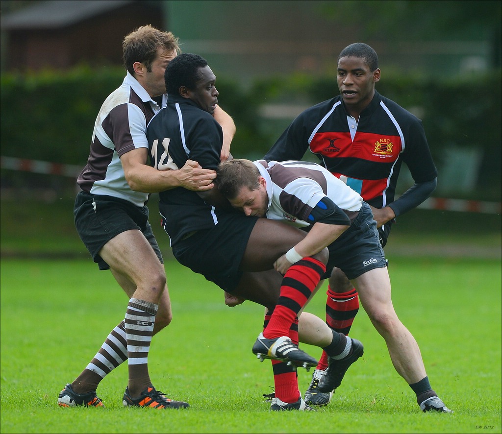 aacomp HRC vs Pauli 20120915 0401