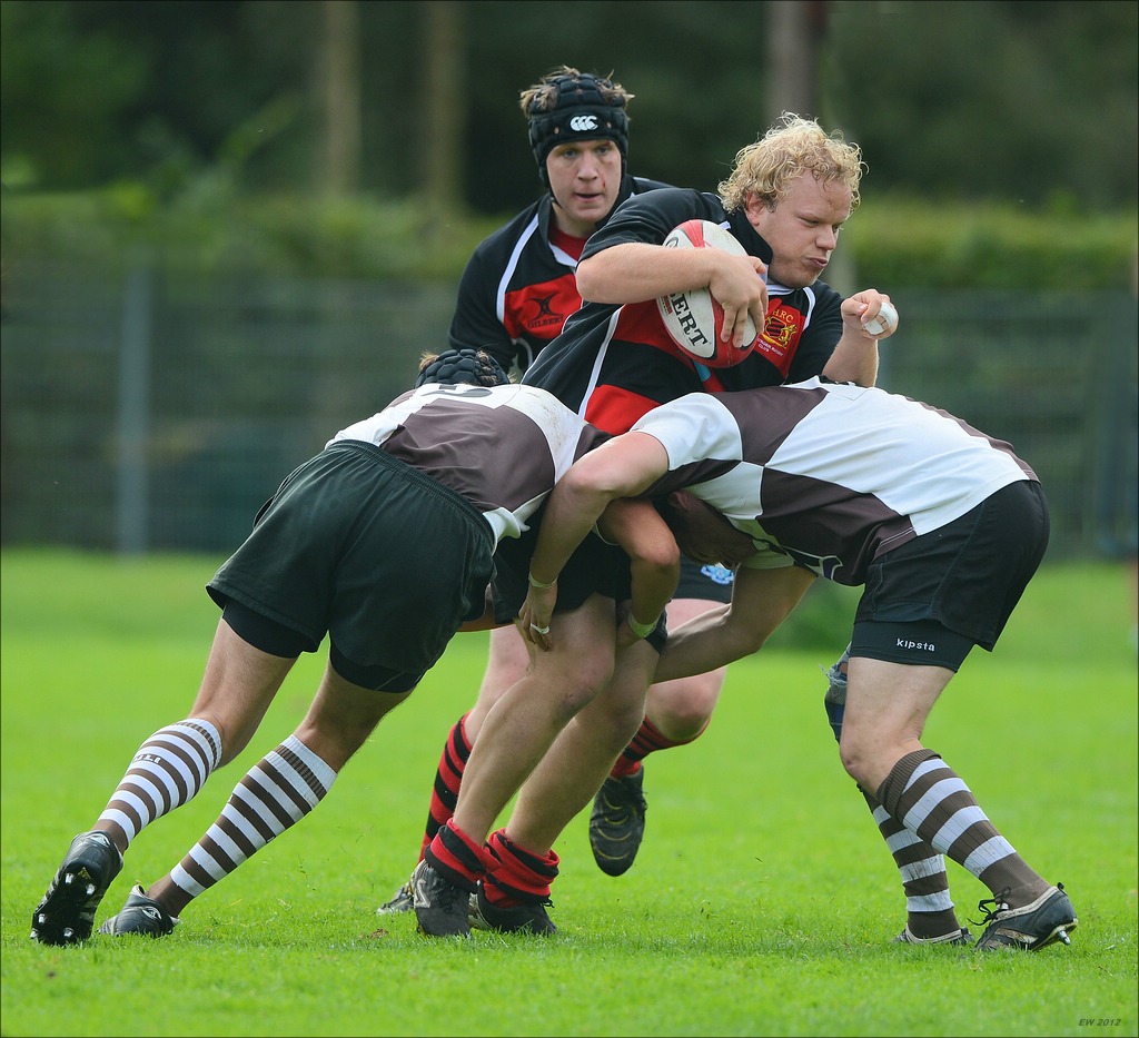 aacomp HRC vs Pauli 20120915 0441