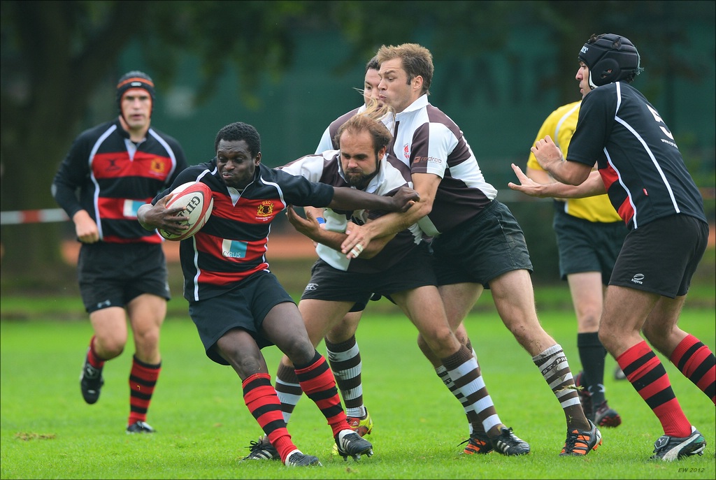 aacomp HRC vs Pauli 20120915 0677