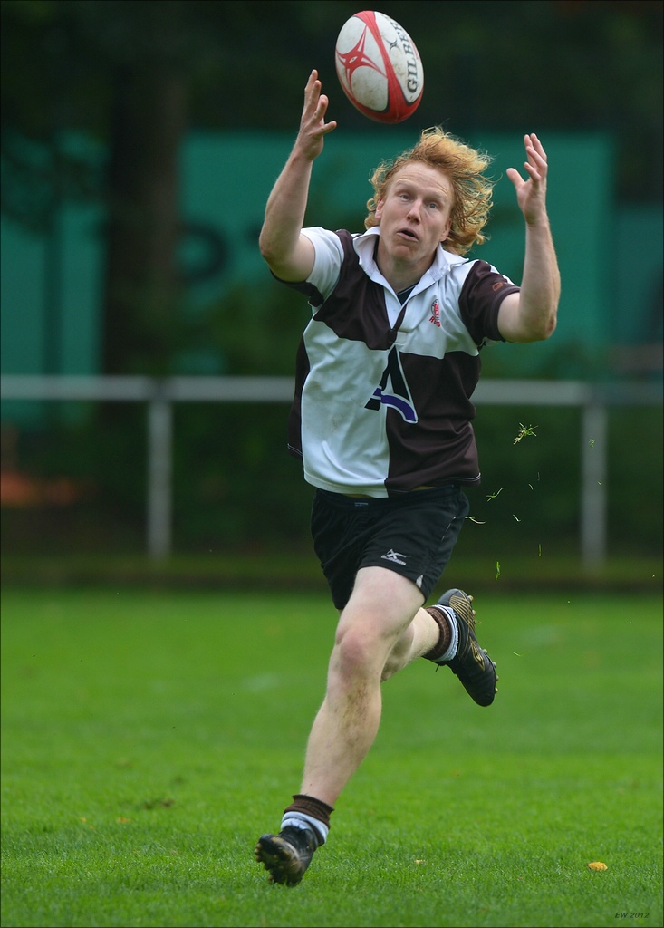 aacomp HRC vs Pauli 20120915 0721