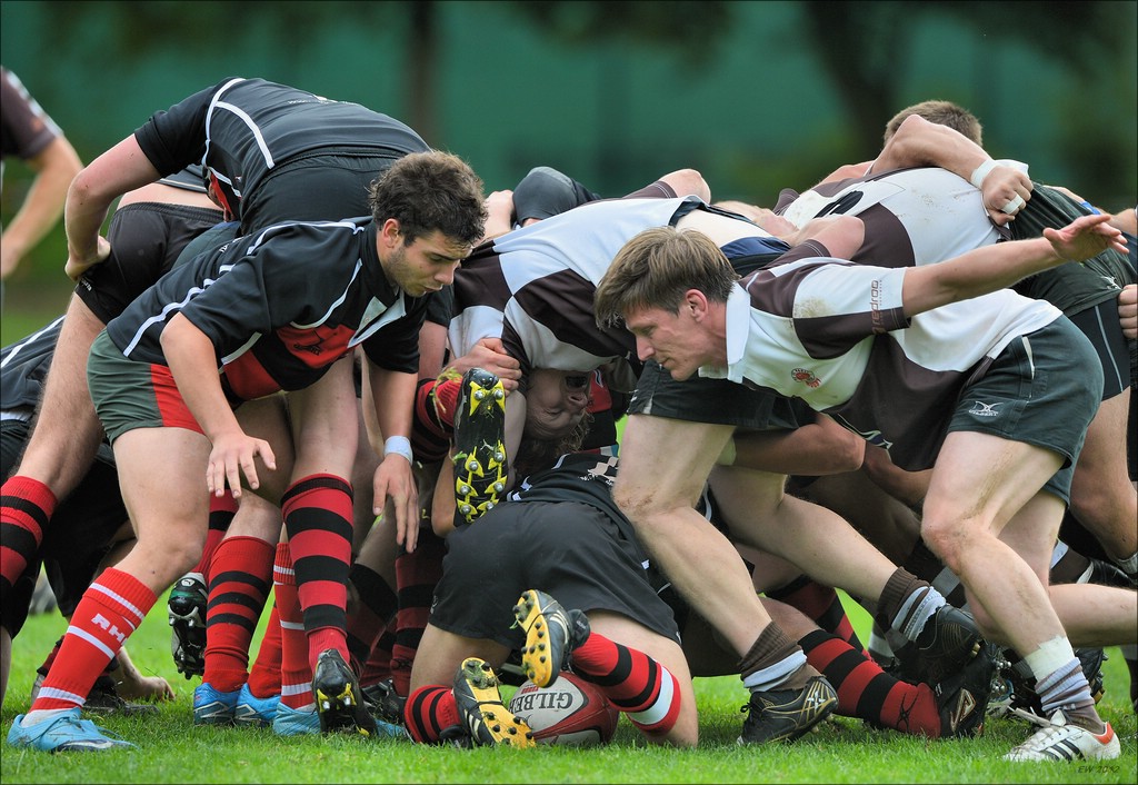 aacomp HRC vs Pauli 20120915 0784