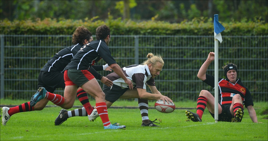 aacomp HRC vs Pauli 20120915 0989