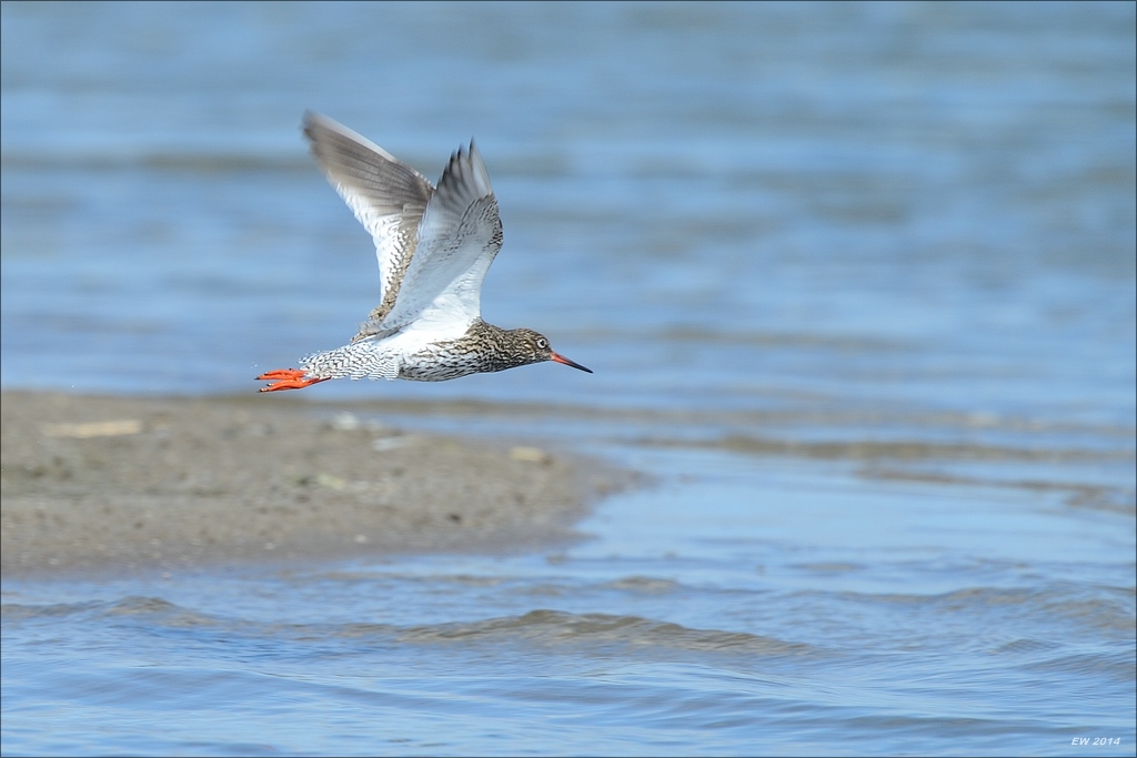 aacomp nordfriesland 20140503 1043