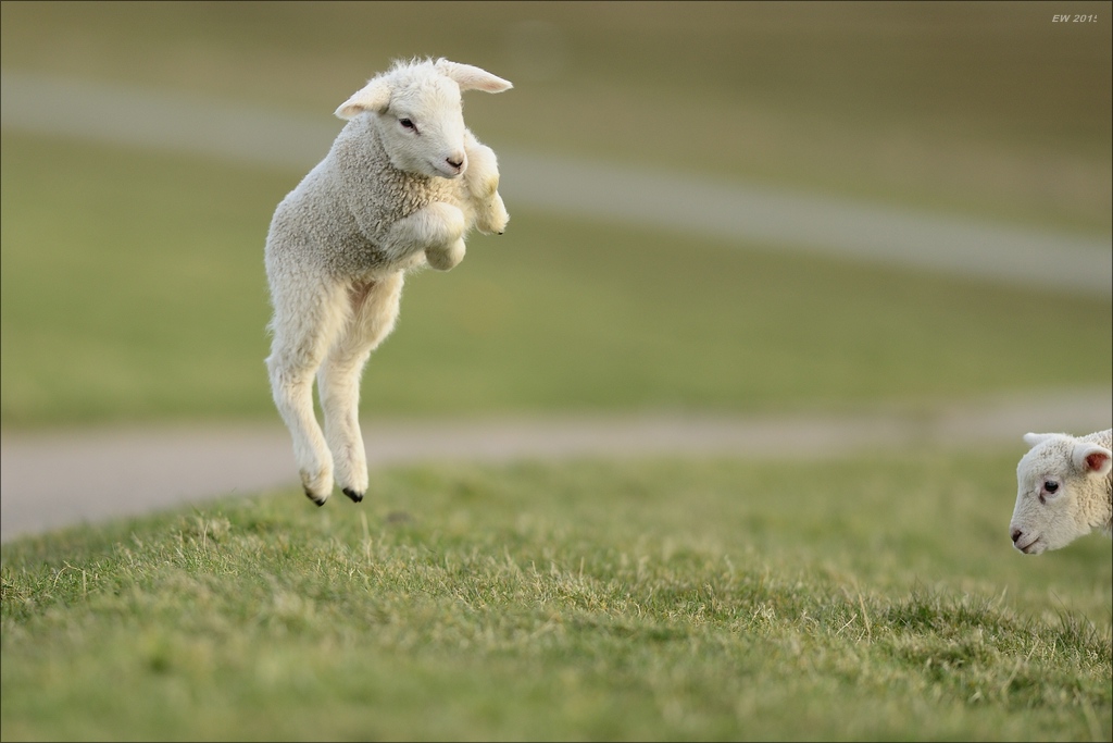 aacomp nordfriesland 20150403 4708 1920