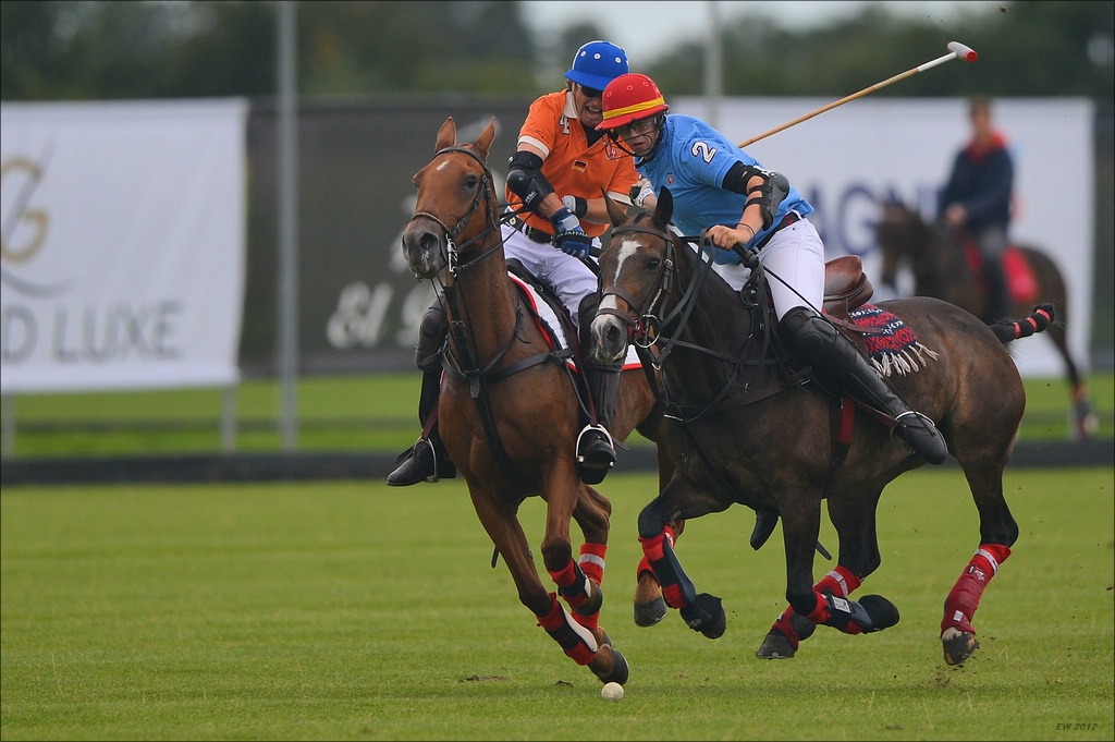 aacomp polo 20120901 0033