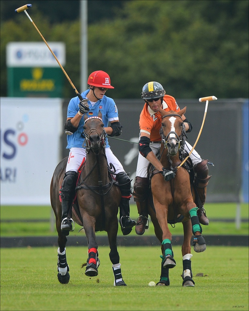 aacomp polo 20120901 0105