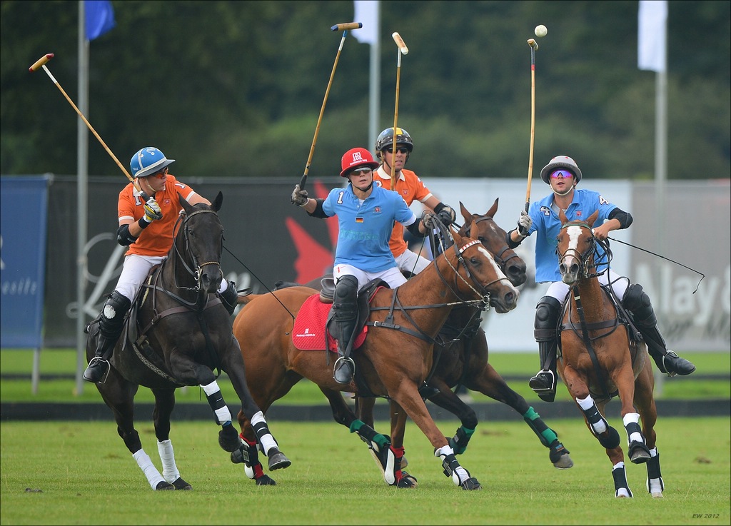 aacomp polo 20120901 0433