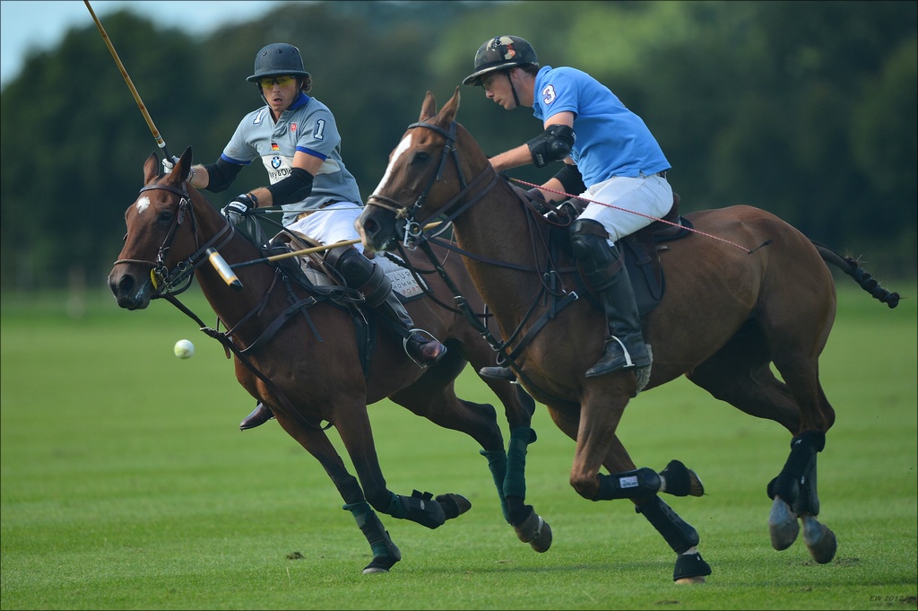 aacomp polo 20120901 0901