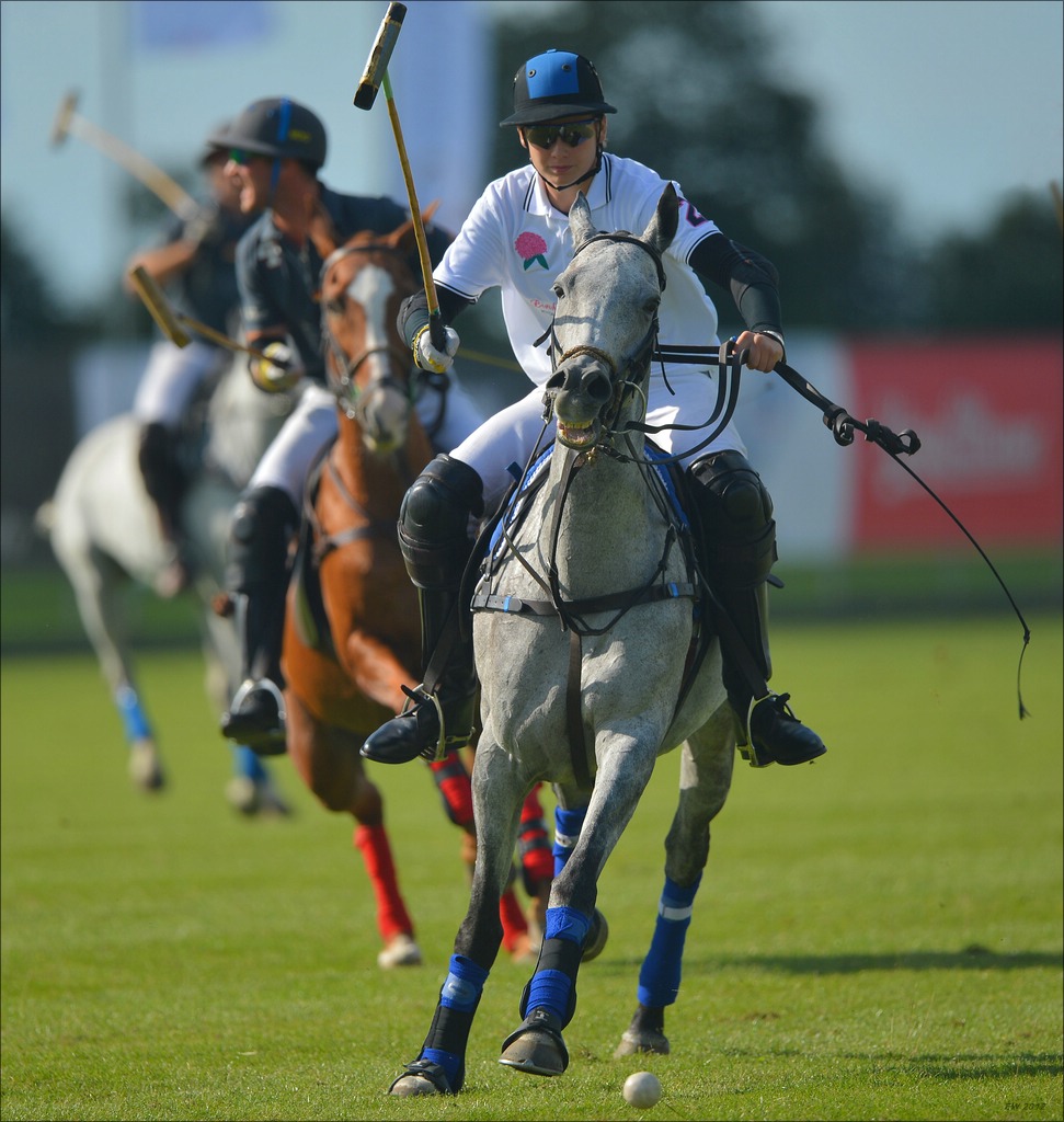 aacomp polo 20120901 1184