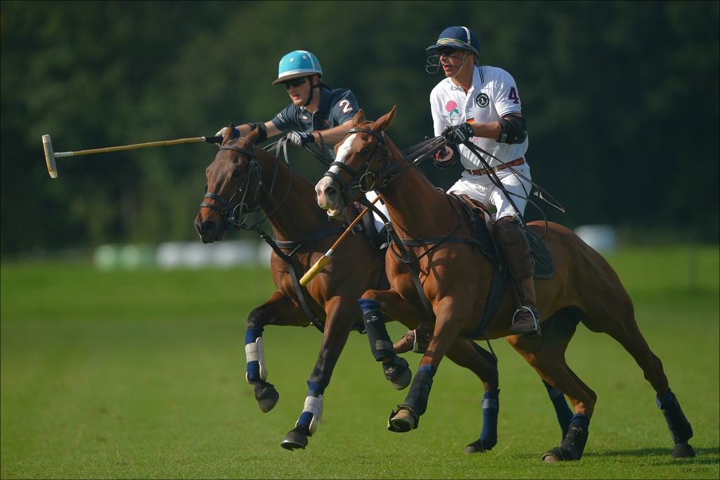 aacomp polo 20120901 1315