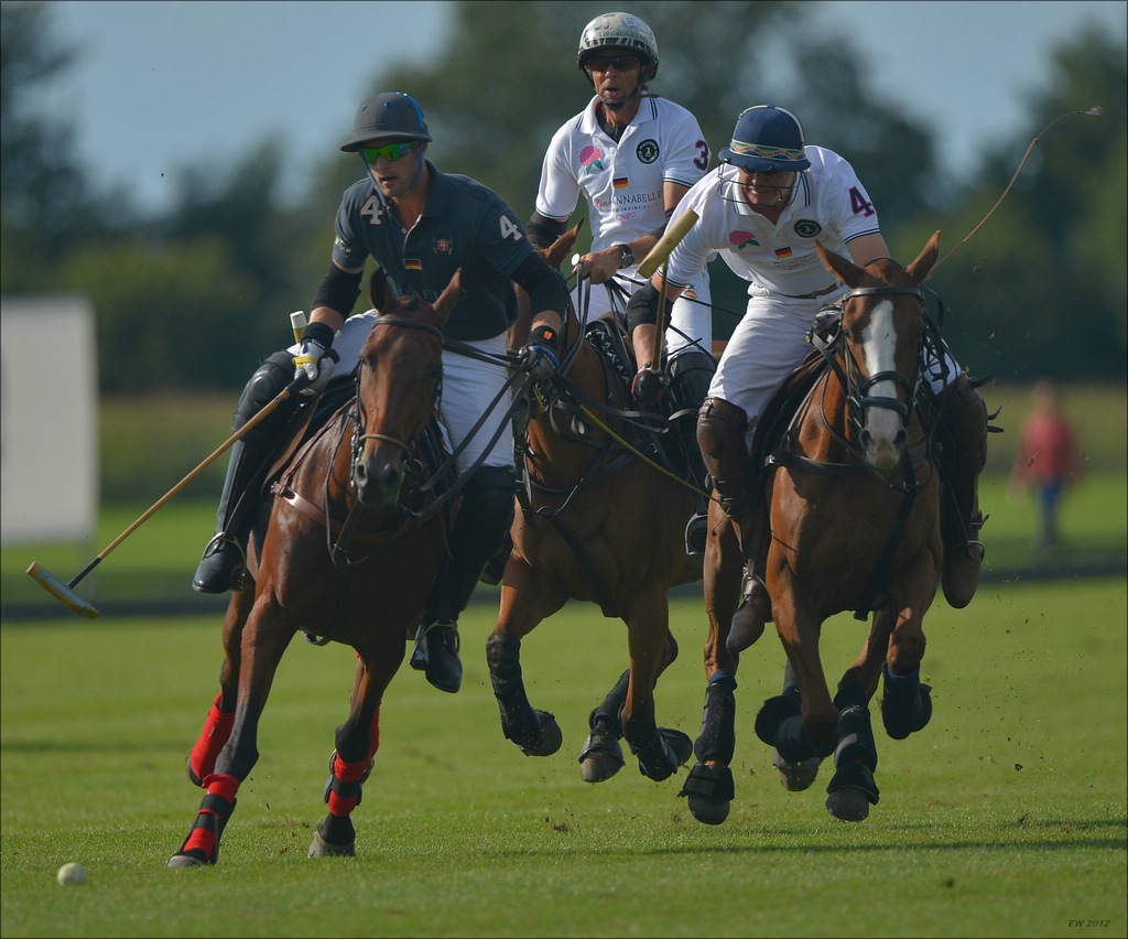 aacomp polo 20120901 1381