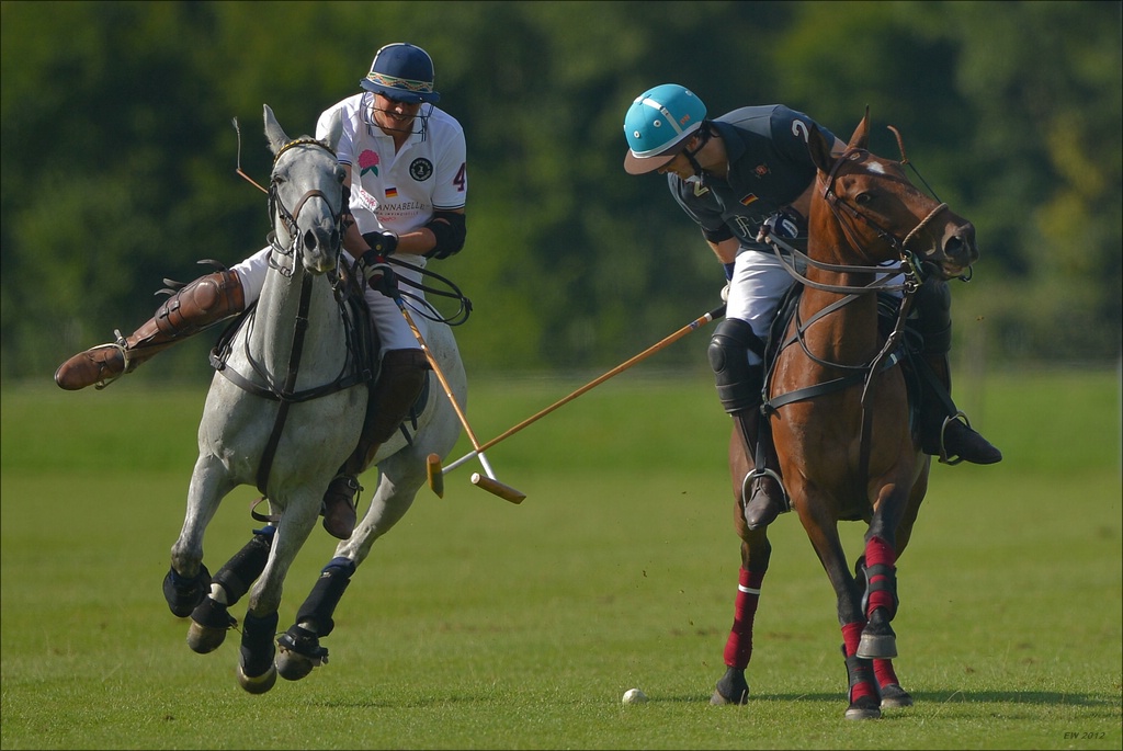 aacomp polo 20120901 1534