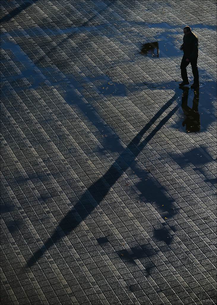aacomp rotterdam 20121202 0280