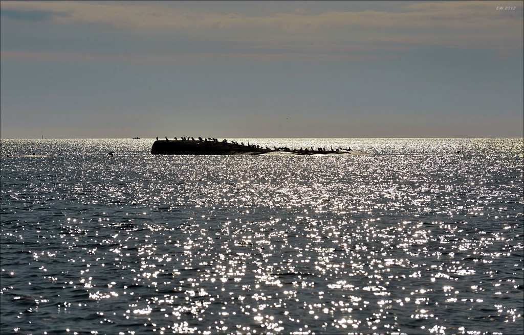 aacomp Schweden 20120816 1573