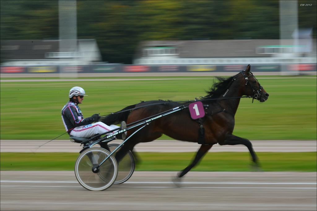 aacomp trabrennen 20121014 0012