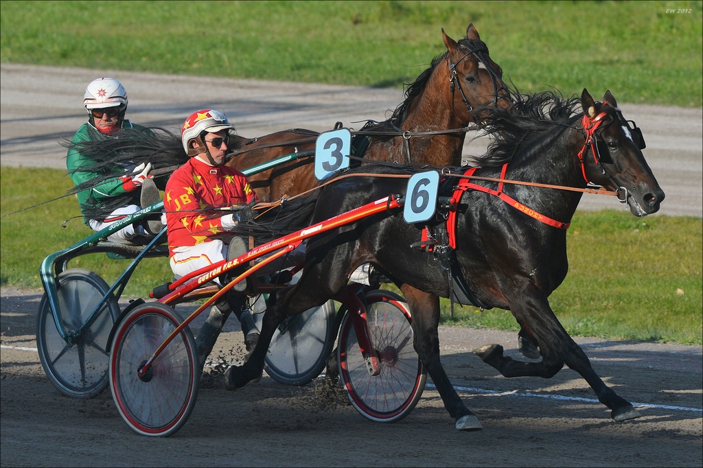 aacomp trabrennen 20121014 0470