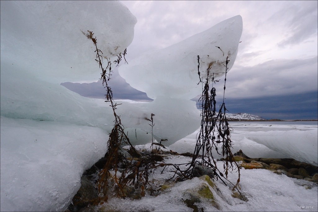 aacomp tromsö 20140210 1770