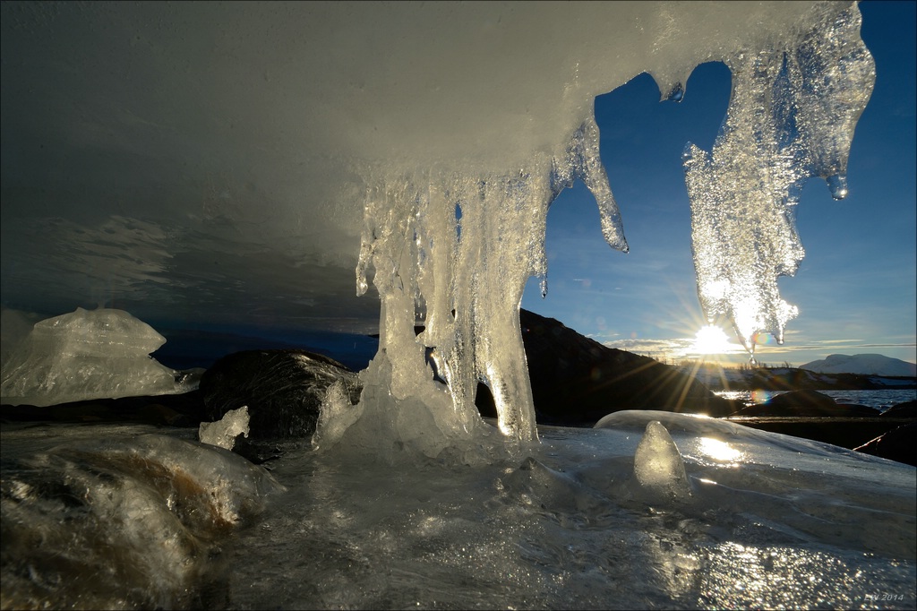 aacomp tromsö 20140211 2737a