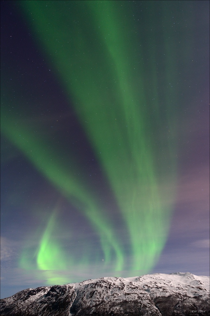 aacomp tromsö 20140211 3022