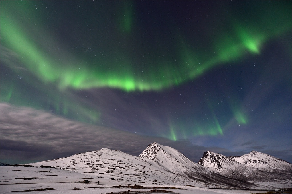 aacomp tromsö 20140212 3164