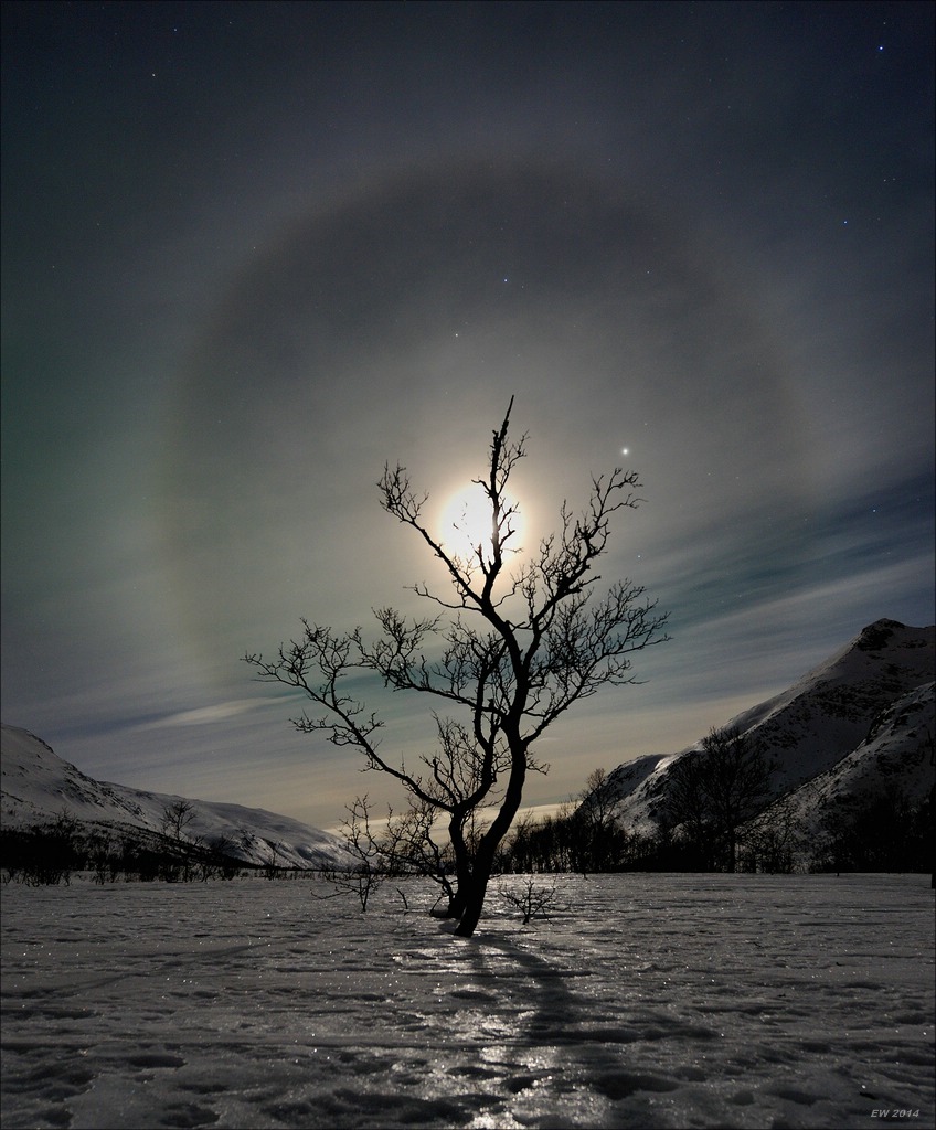 aacomp tromsö 20140212 3310a