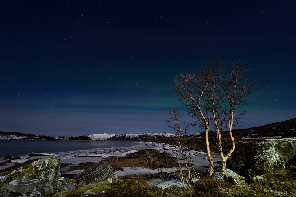 aacomp tromsö 20140212 3383a