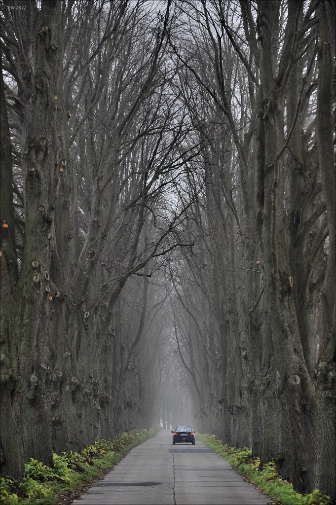 aacomp usedom 20121116 0914