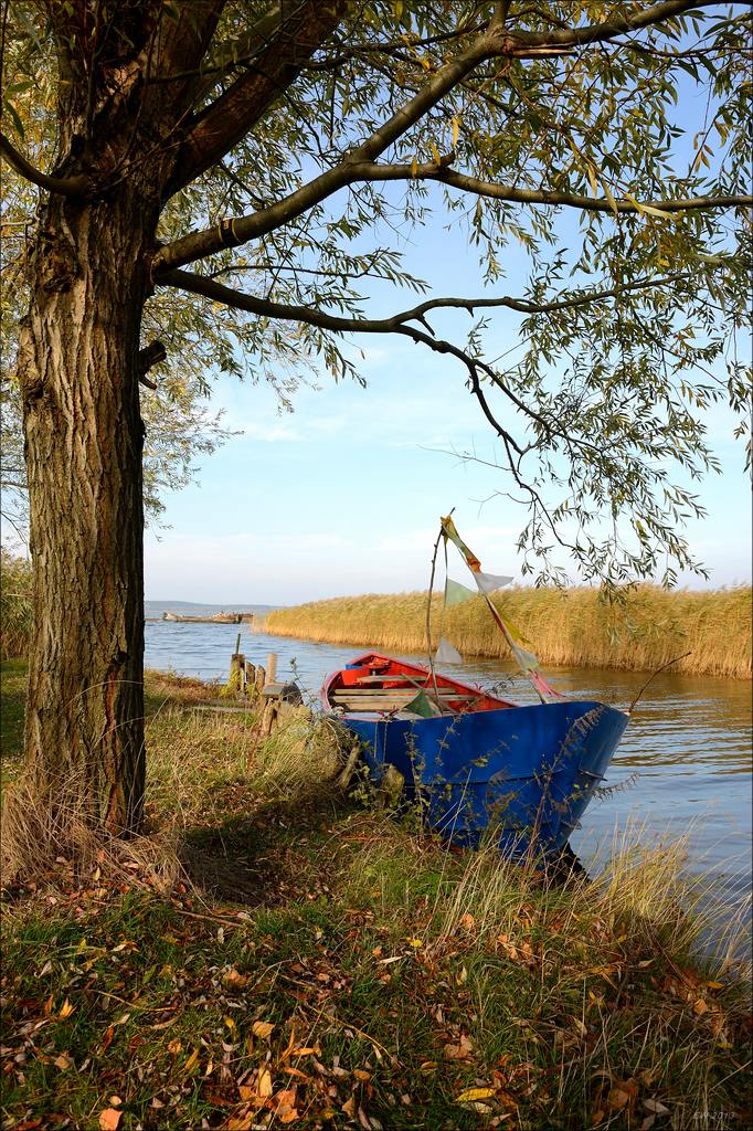 aacomp usedom 20131101 0004