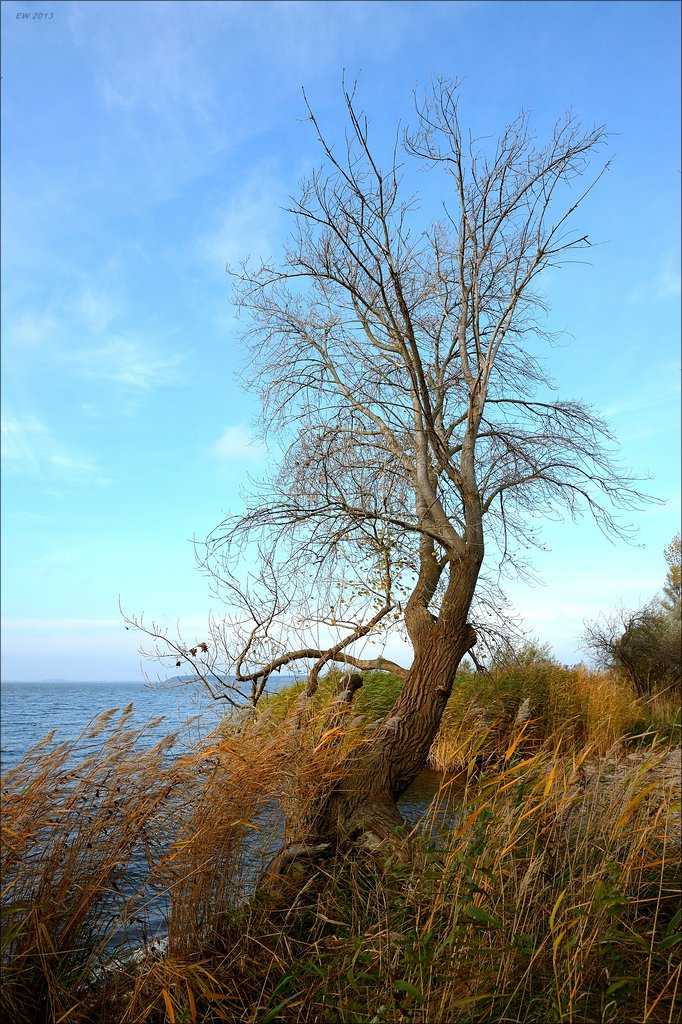aacomp usedom 20131101 0156
