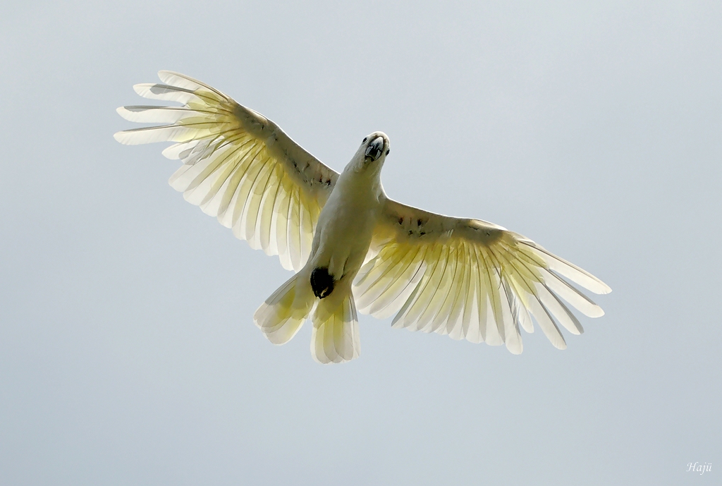 aacompZoo und Vogelpark 729 Kopie