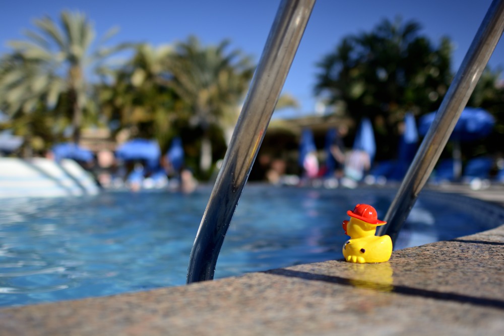 Ab ins Wasser