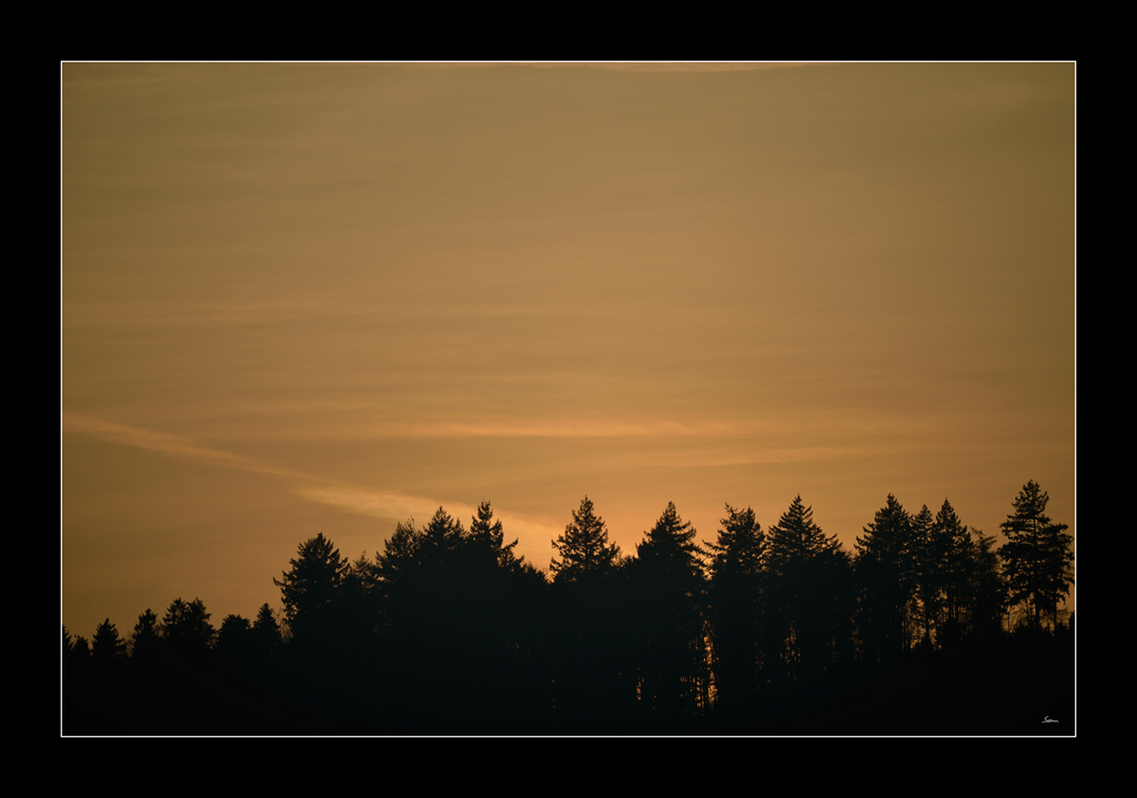 Abend PZ15286