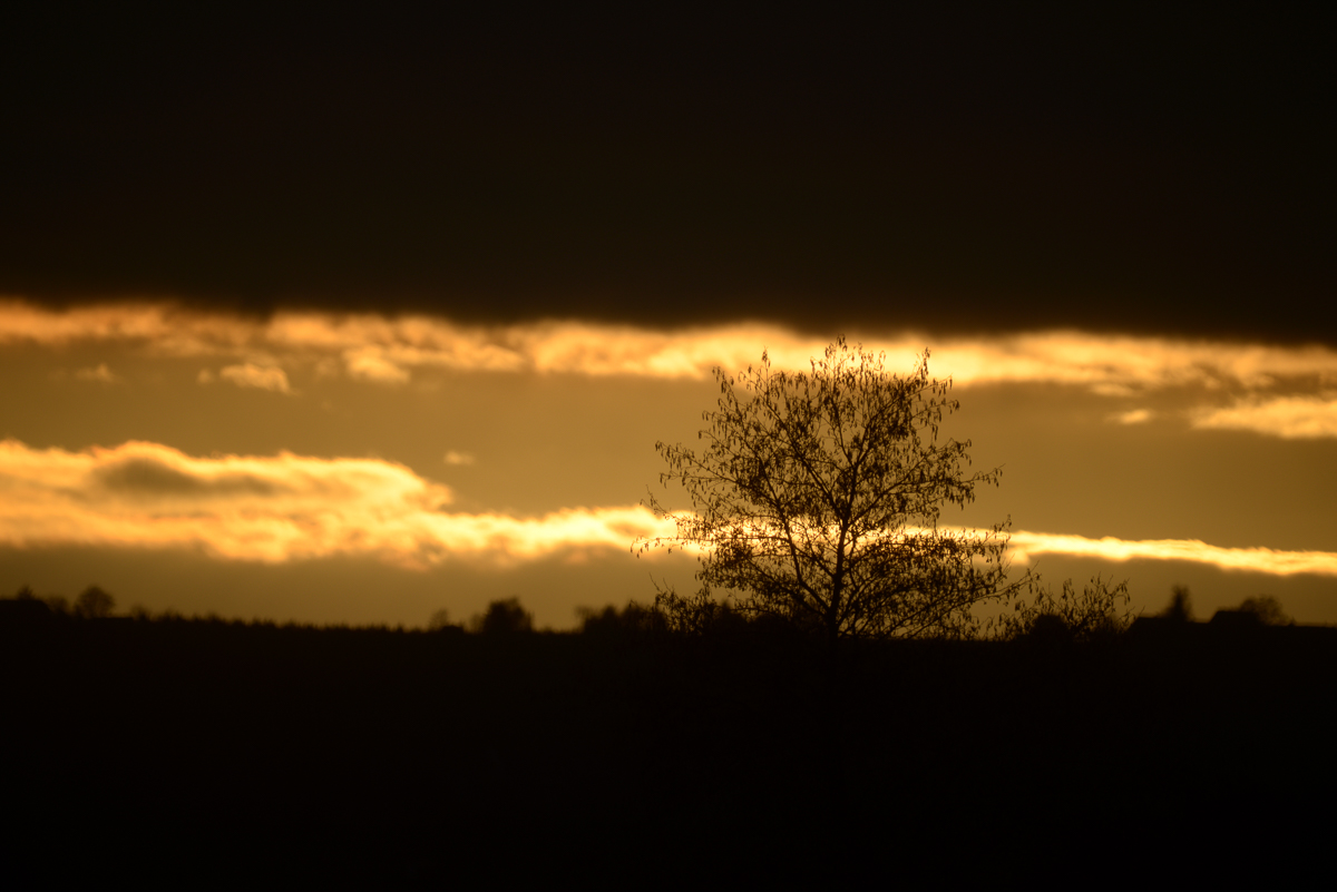 Abenddämmerung