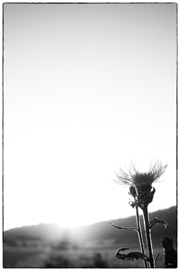 AbendDSC 5588