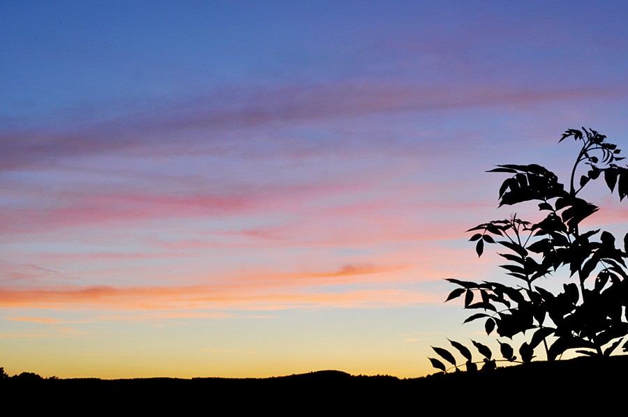 Abendlicht