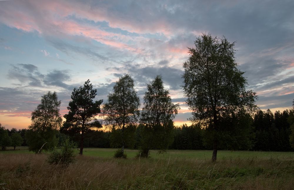 abendlicht3