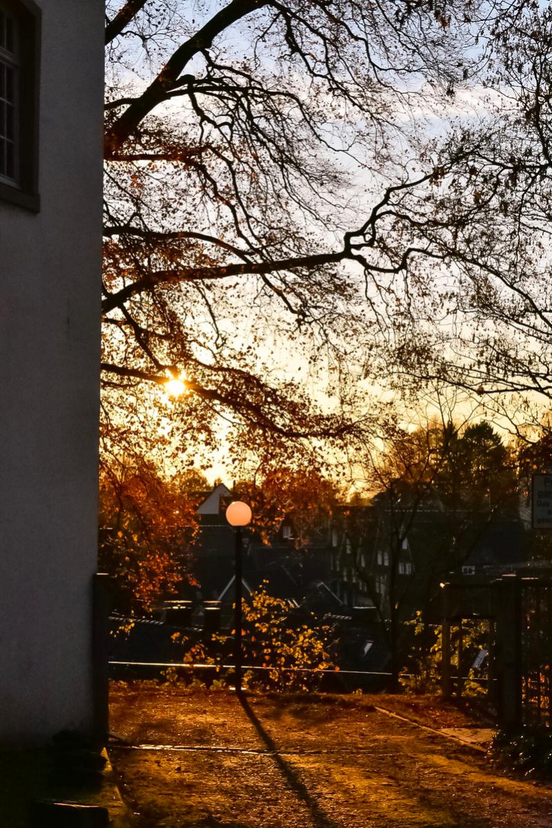 Abendlichter am Kloster