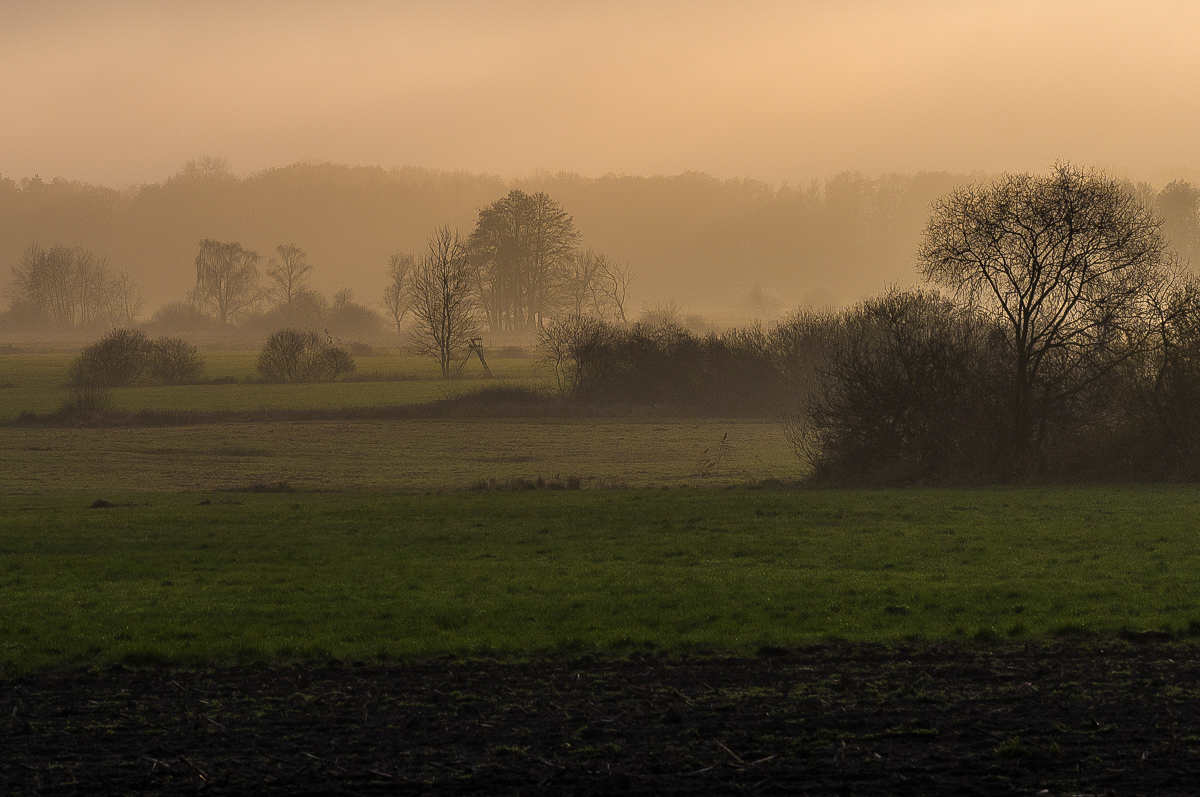 Abends (1 von 1).JPG