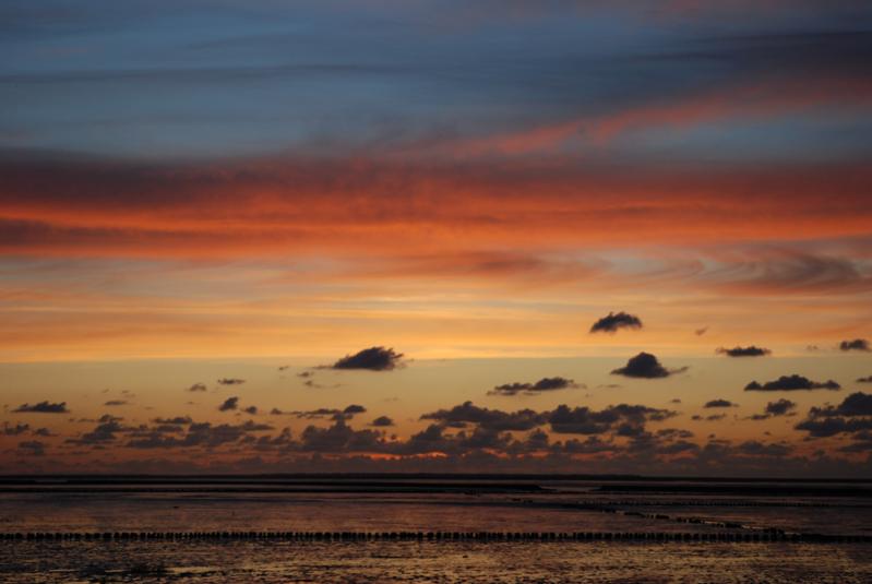 Abends bei Ebbe