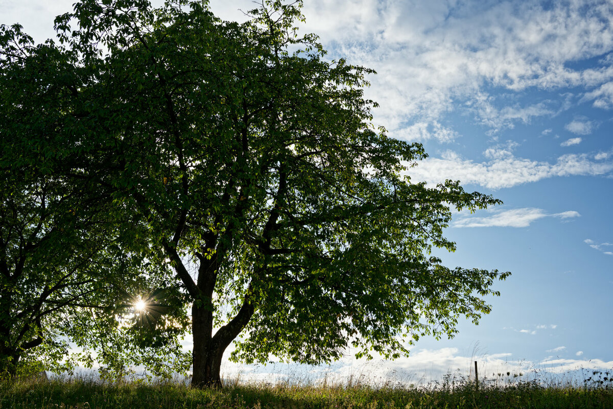 Abends in Bayern