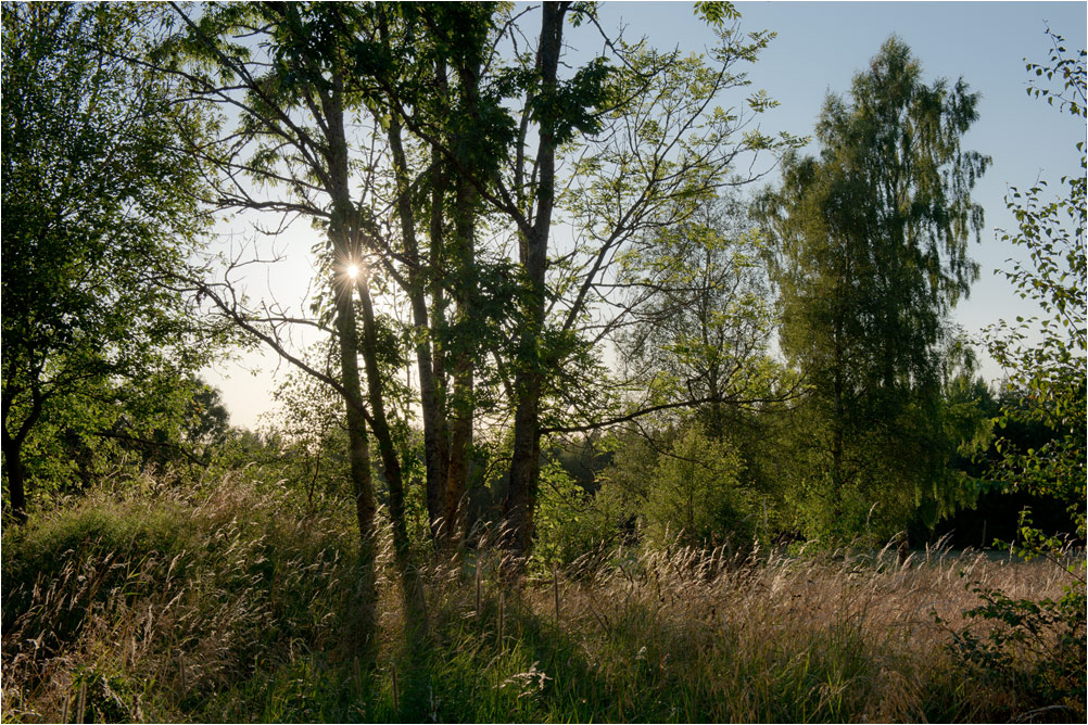 abendsonne