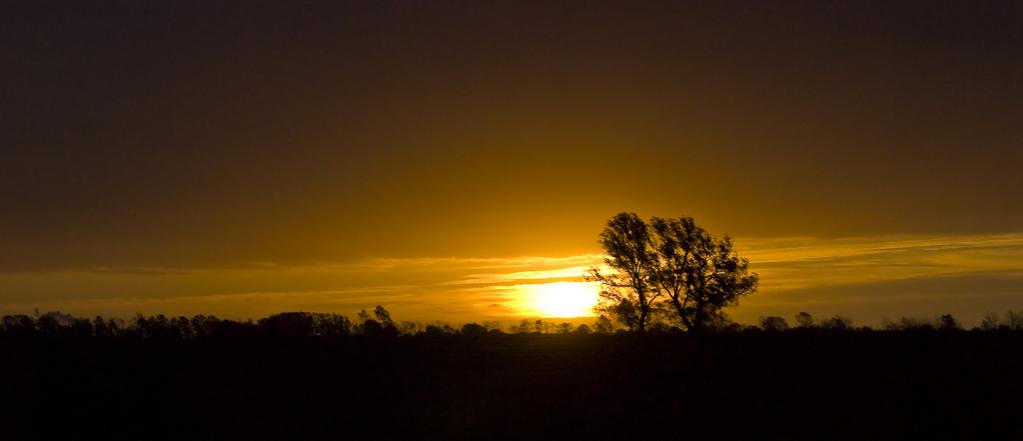 Abendsonne
