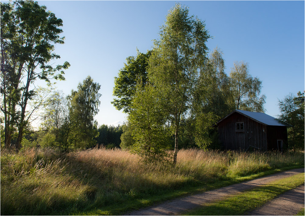abendsonne3