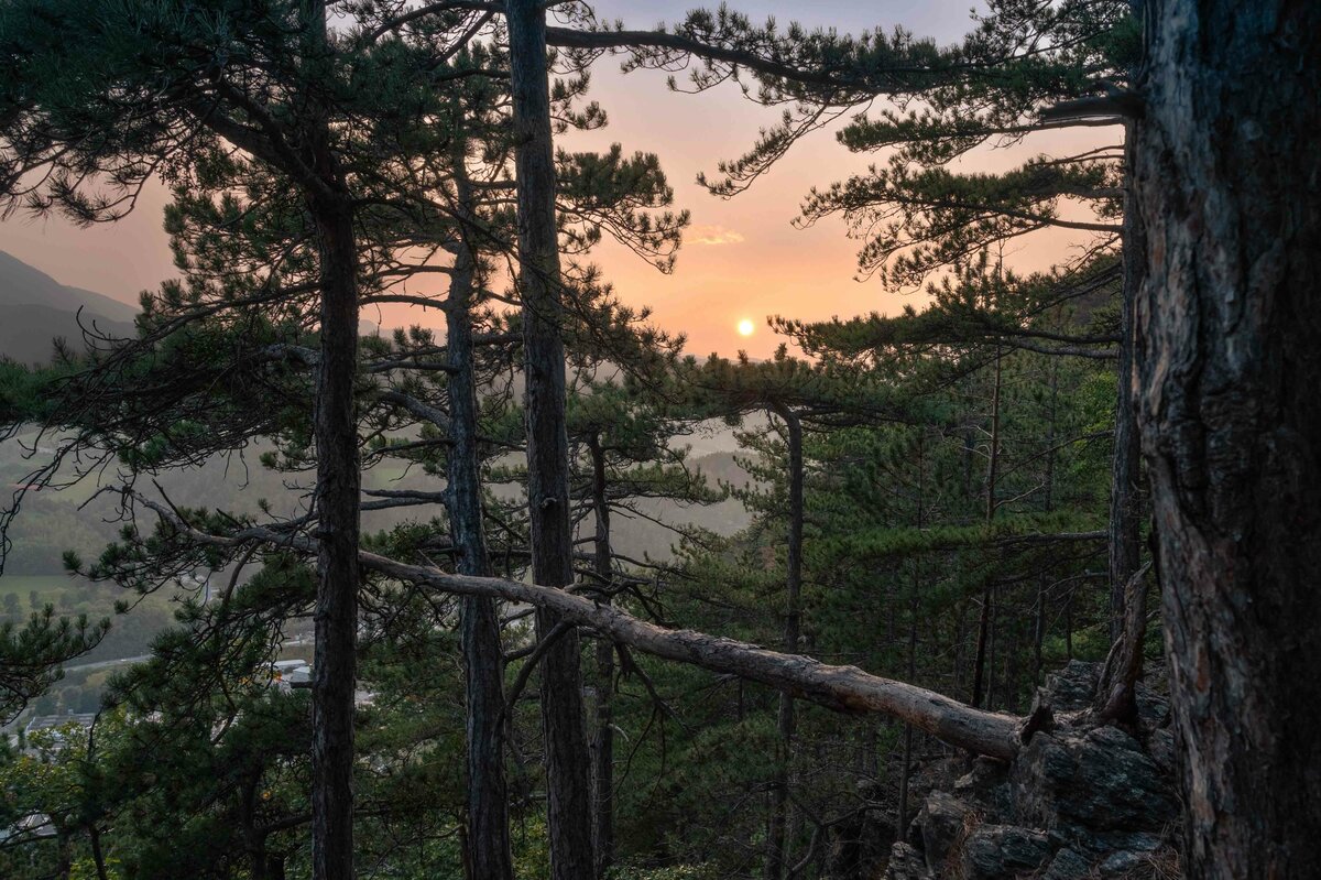 Abendstimmung am Gipfel.jpg