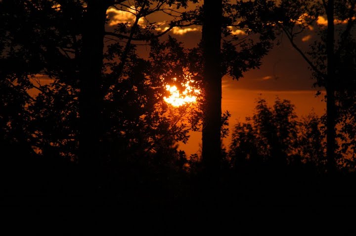 Abendstimmung in Schwedens Pampa