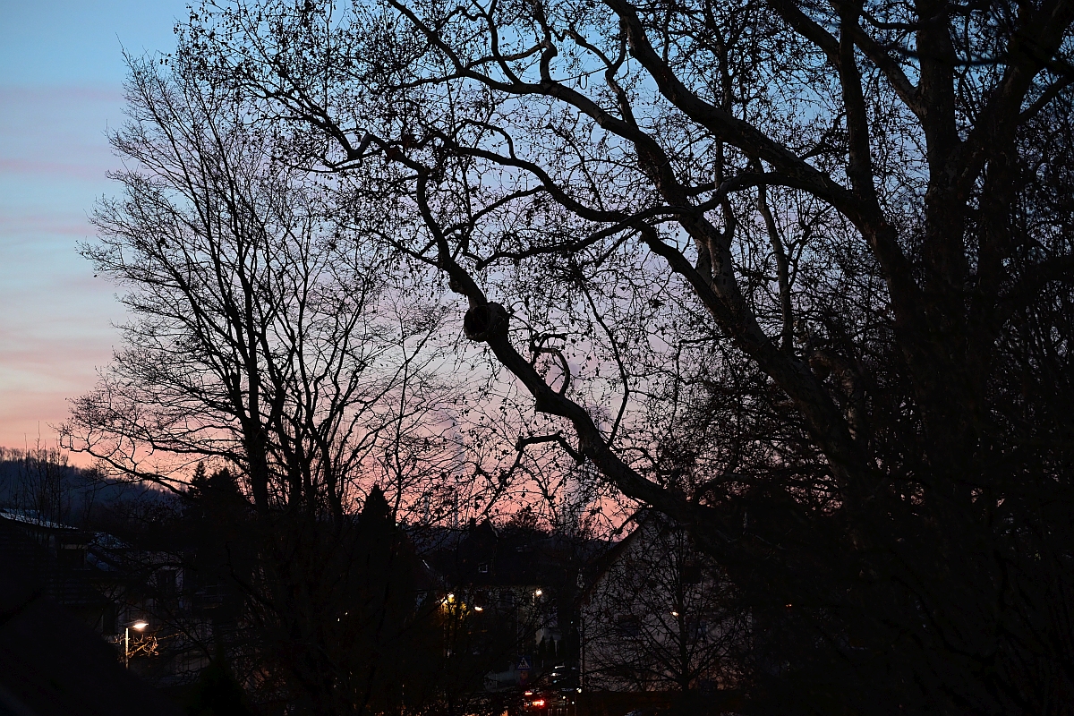 Abendstimmung.jpg