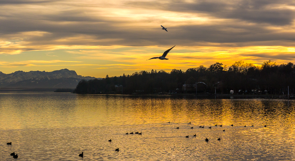 Abendstimmung Starnberger See