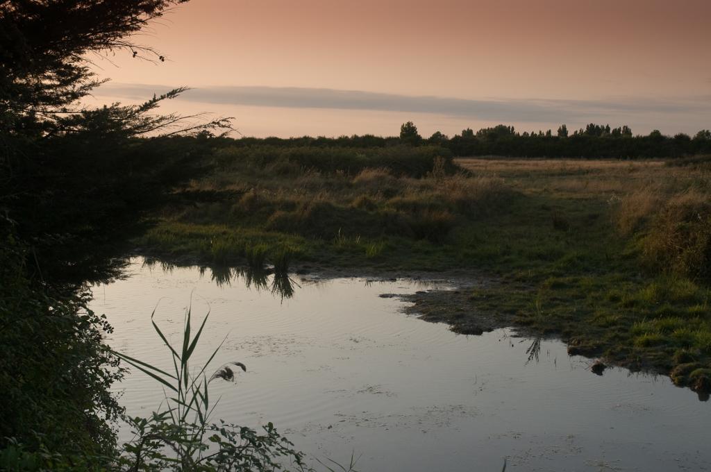 Abendstimmung Vendée